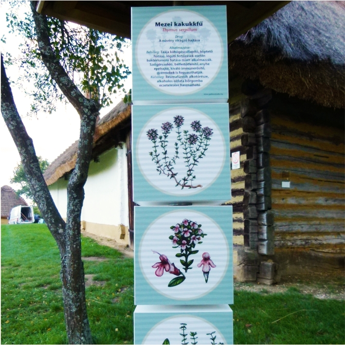 Gyógynövényes forgatós oszlop